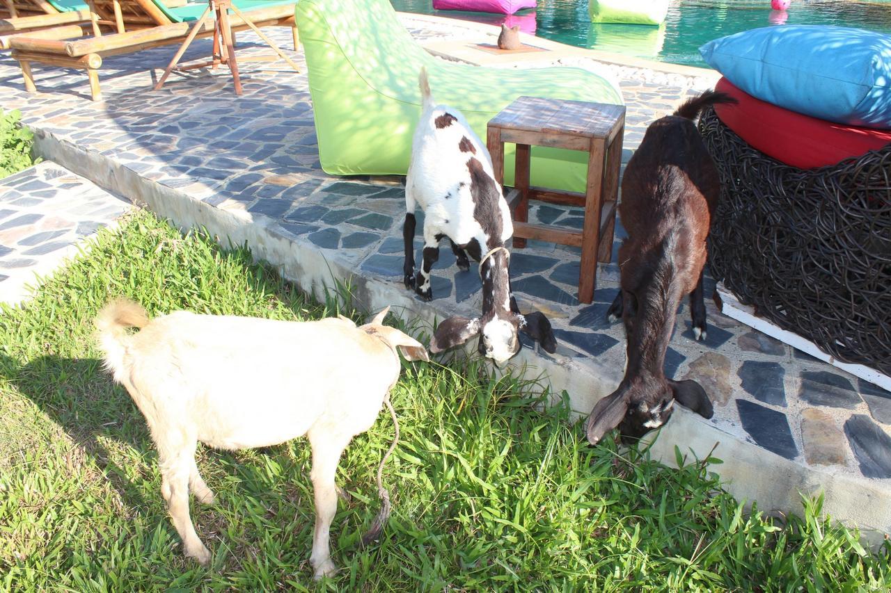 Kalaka Homestay Ban Ban San Sai Esterno foto